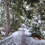 Apartmán Alpapart Hornberg Höfen