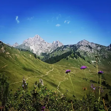 Alpapart Hornberg Höfen