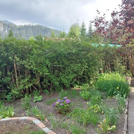 Alpapart Hornberg Hofen