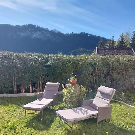 Apartment Alpapart Hornberg *