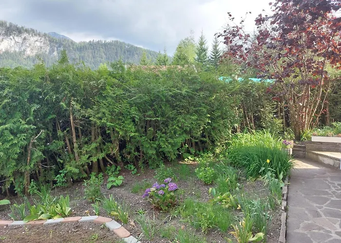 Alpapart Hornberg Höfen