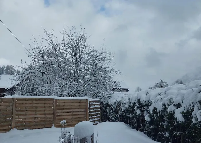 公寓 Alpapart Hornberg *