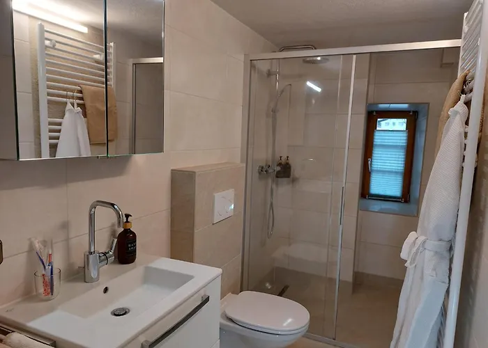 Alpapart Hornberg 公寓 *