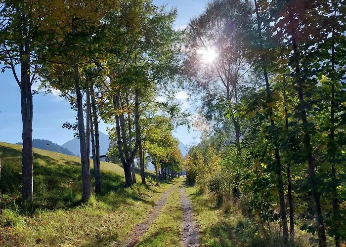 公寓 Alpapart Hornberg Höfen