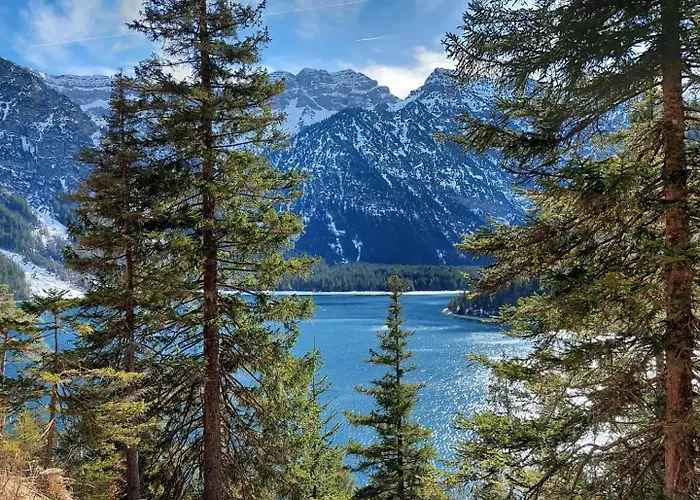 公寓 Alpapart Hornberg