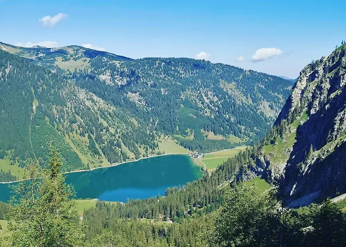 公寓 Alpapart Hornberg *