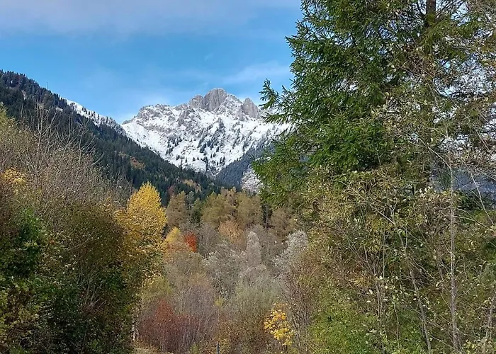 公寓 Alpapart Hornberg