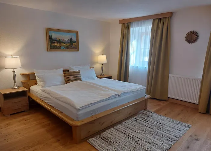 公寓 Alpapart Hornberg *