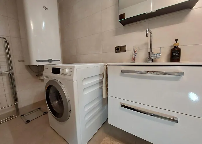 公寓 Alpapart Hornberg Höfen