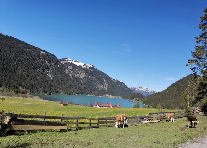 公寓 Alpapart Hornberg