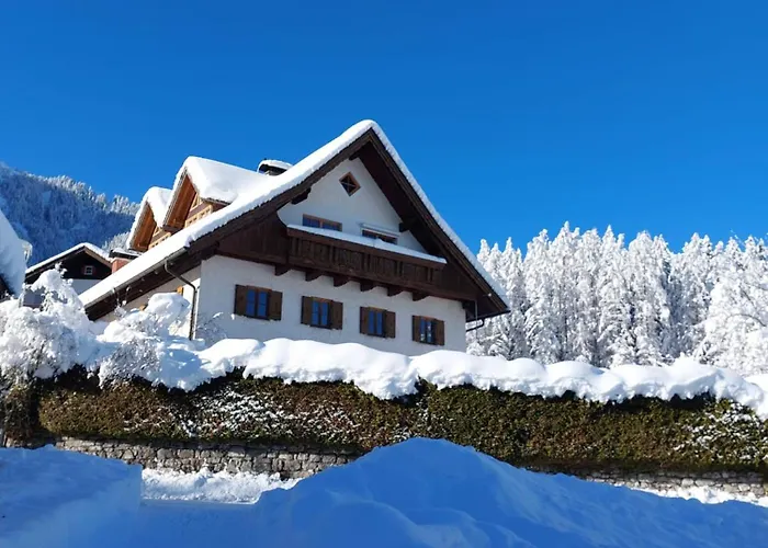 公寓 Alpapart Hornberg