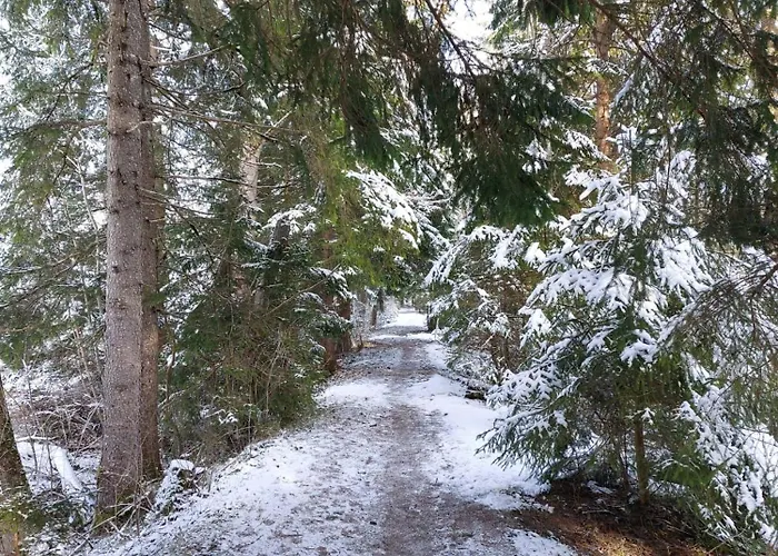 公寓 Alpapart Hornberg Höfen