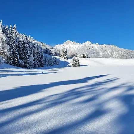 Apartament Alpapart Hornberg Höfen