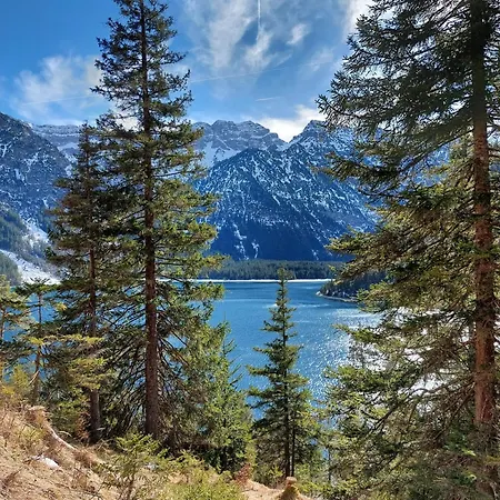 Apartament Alpapart Hornberg