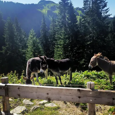 Alpapart Hornberg - Naehe Reutte, Neuschwanstein Und Highline 179