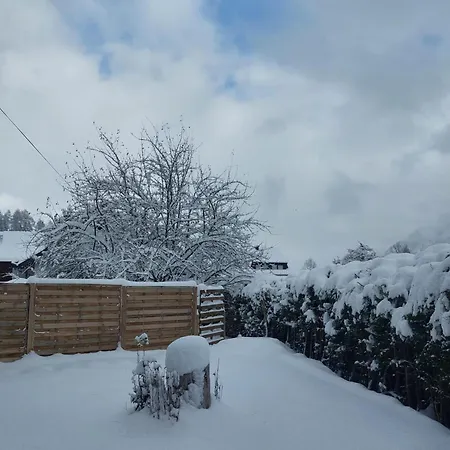 Apartman Alpapart Hornberg *