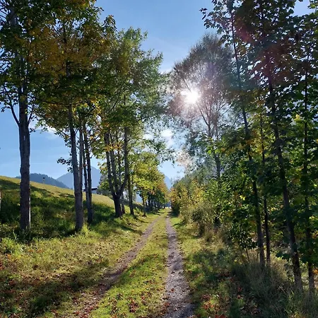 Apartman Alpapart Hornberg Höfen