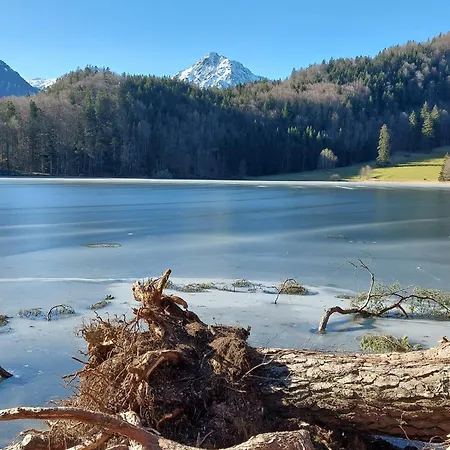 Alpapart Hornberg Apartman *