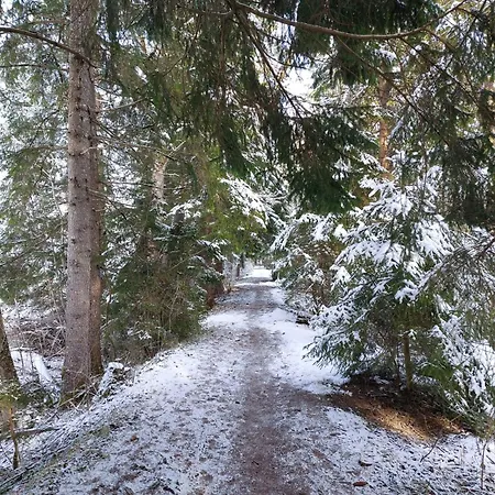 Appartamento Alpapart Hornberg Höfen